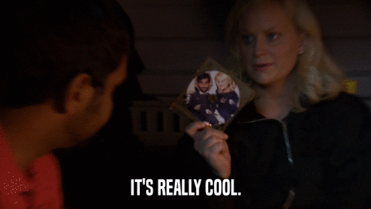 IT'S REALLY COOL.  