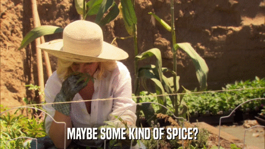 MAYBE SOME KIND OF SPICE?  