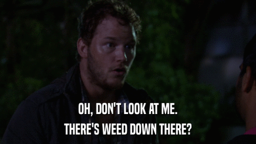 OH, DON'T LOOK AT ME. THERE'S WEED DOWN THERE? 
