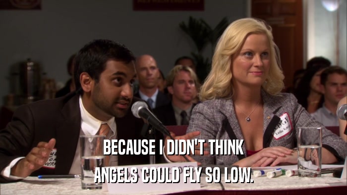 BECAUSE I DIDN'T THINK ANGELS COULD FLY SO LOW. 