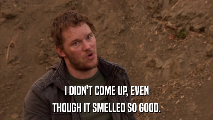I DIDN'T COME UP, EVEN THOUGH IT SMELLED SO GOOD. 