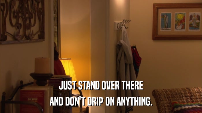 JUST STAND OVER THERE AND DON'T DRIP ON ANYTHING. 