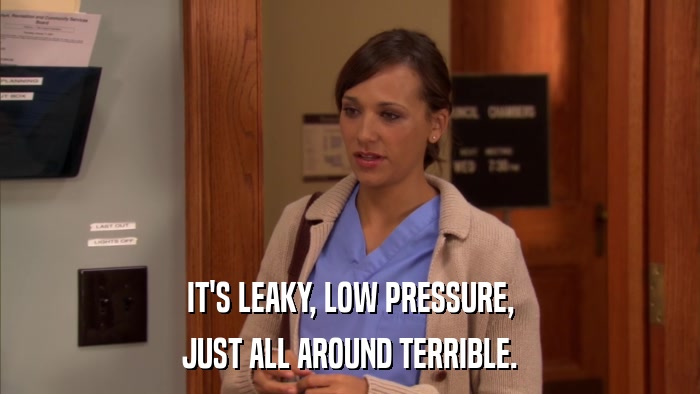 IT'S LEAKY, LOW PRESSURE, JUST ALL AROUND TERRIBLE. 