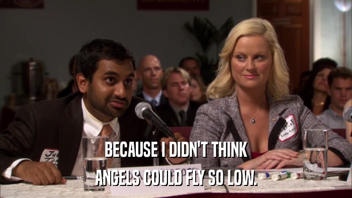 BECAUSE I DIDN'T THINK ANGELS COULD FLY SO LOW. 