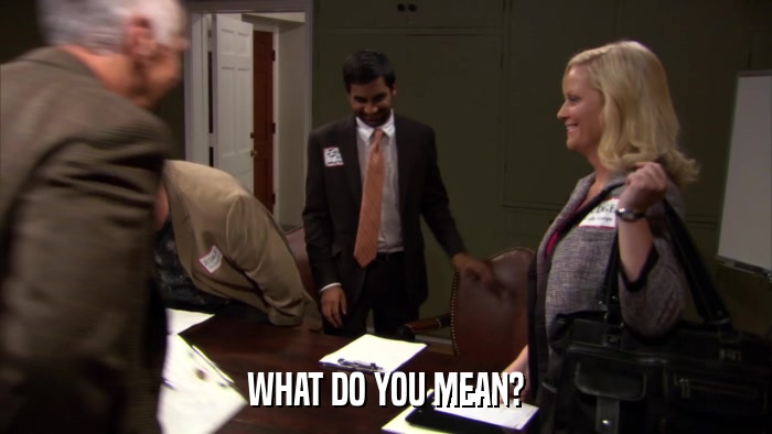 WHAT DO YOU MEAN?  