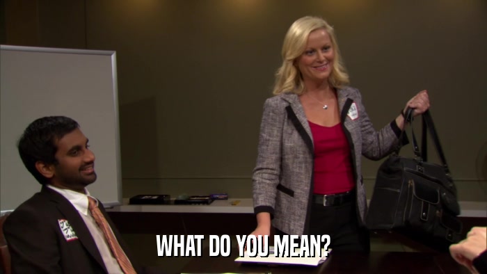WHAT DO YOU MEAN?  