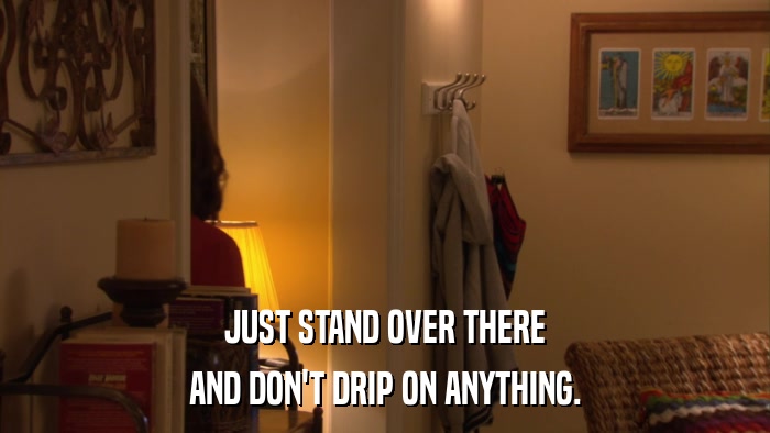 JUST STAND OVER THERE AND DON'T DRIP ON ANYTHING. 