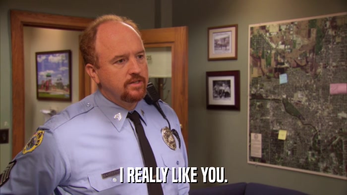 I REALLY LIKE YOU.  