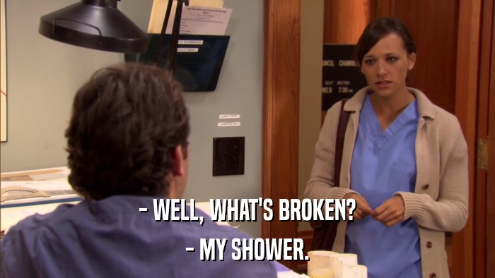 - WELL, WHAT'S BROKEN? - MY SHOWER. 
