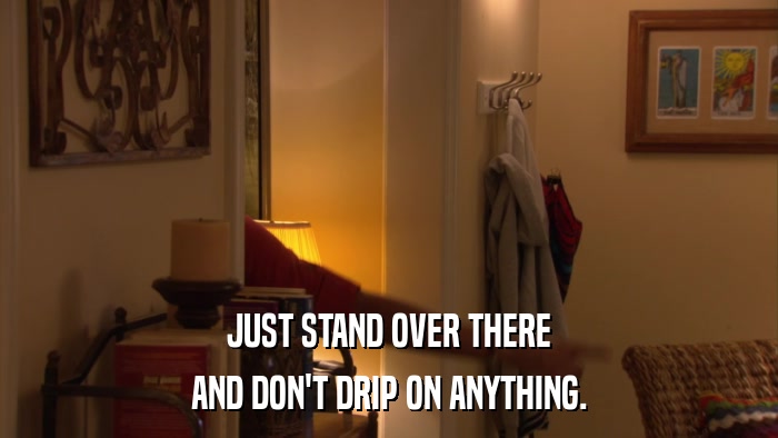 JUST STAND OVER THERE AND DON'T DRIP ON ANYTHING. 