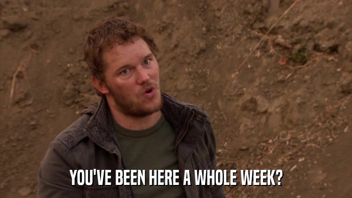 YOU'VE BEEN HERE A WHOLE WEEK?  