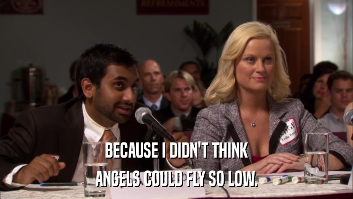BECAUSE I DIDN'T THINK ANGELS COULD FLY SO LOW. 
