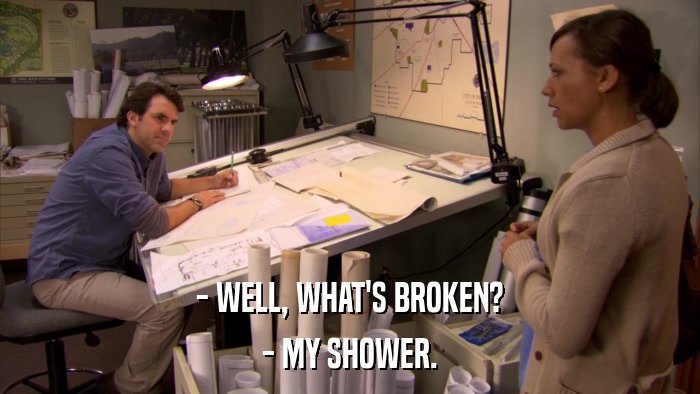 - WELL, WHAT'S BROKEN? - MY SHOWER. 