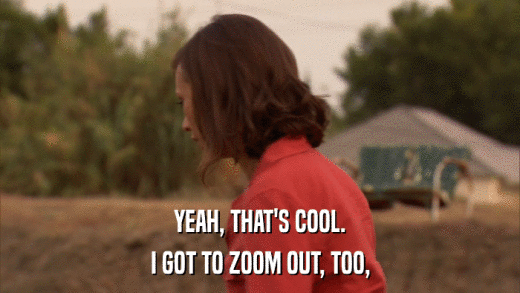 YEAH, THAT'S COOL. I GOT TO ZOOM OUT, TOO, 