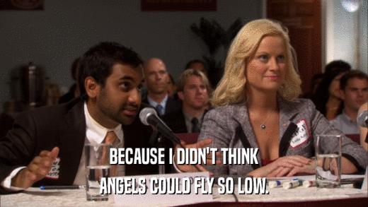 BECAUSE I DIDN'T THINK ANGELS COULD FLY SO LOW. 
