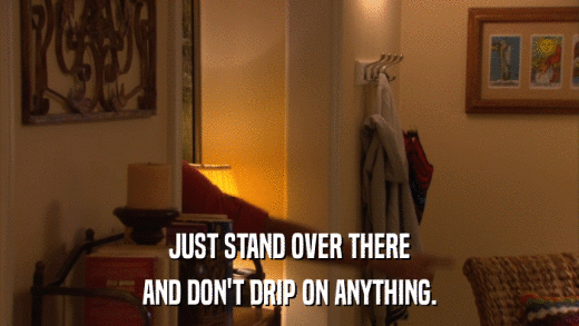JUST STAND OVER THERE AND DON'T DRIP ON ANYTHING. 