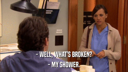 - WELL, WHAT'S BROKEN? - MY SHOWER. 