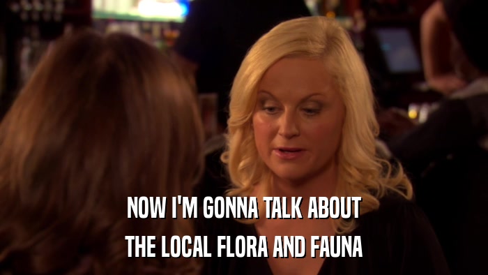 NOW I'M GONNA TALK ABOUT THE LOCAL FLORA AND FAUNA 