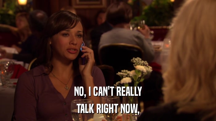 NO, I CAN'T REALLY TALK RIGHT NOW, 