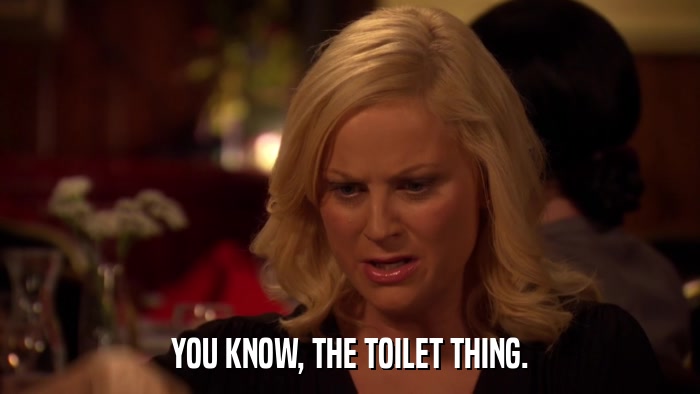 YOU KNOW, THE TOILET THING.  