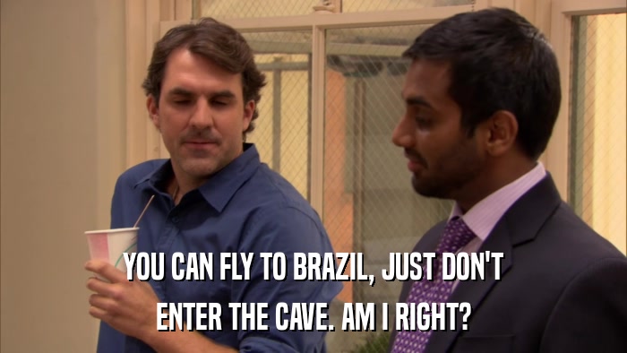 YOU CAN FLY TO BRAZIL, JUST DON'T ENTER THE CAVE. AM I RIGHT? 