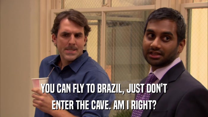 YOU CAN FLY TO BRAZIL, JUST DON'T ENTER THE CAVE. AM I RIGHT? 