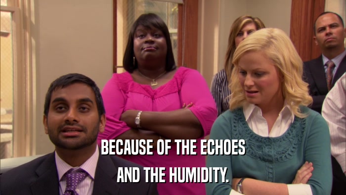 BECAUSE OF THE ECHOES AND THE HUMIDITY. 