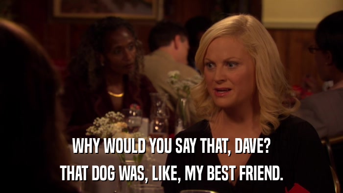 WHY WOULD YOU SAY THAT, DAVE? THAT DOG WAS, LIKE, MY BEST FRIEND. 