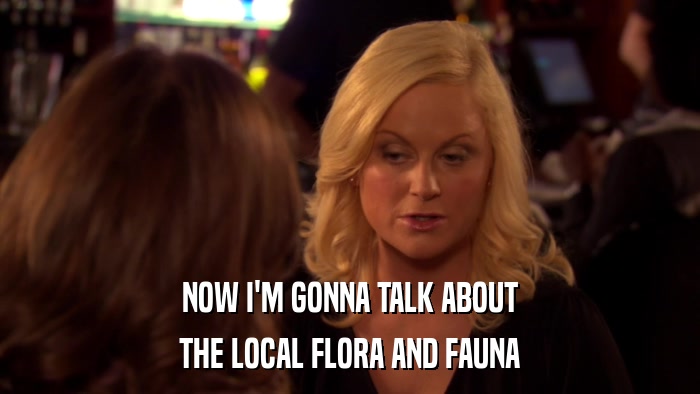 NOW I'M GONNA TALK ABOUT THE LOCAL FLORA AND FAUNA 