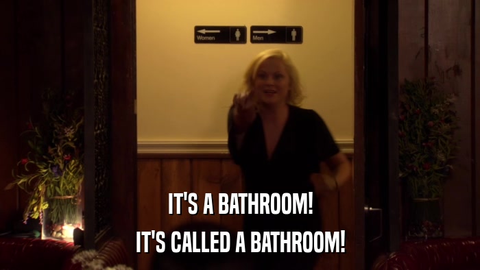 IT'S A BATHROOM! IT'S CALLED A BATHROOM! 