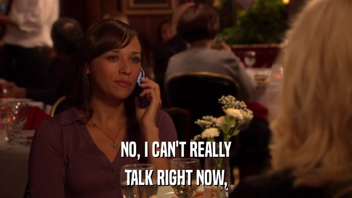 NO, I CAN'T REALLY TALK RIGHT NOW, 
