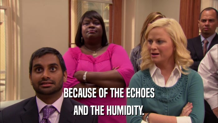 BECAUSE OF THE ECHOES AND THE HUMIDITY. 
