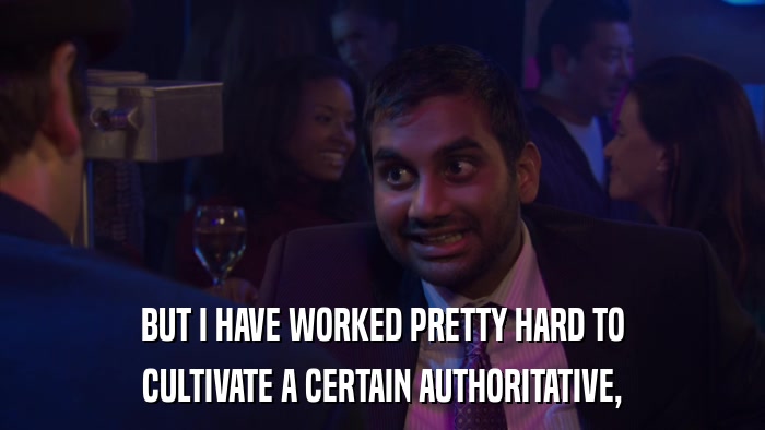 BUT I HAVE WORKED PRETTY HARD TO CULTIVATE A CERTAIN AUTHORITATIVE, 