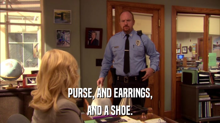 PURSE, AND EARRINGS, AND A SHOE. 