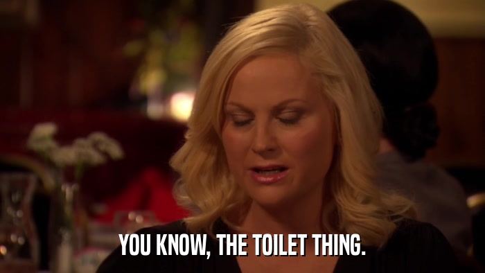 YOU KNOW, THE TOILET THING.  
