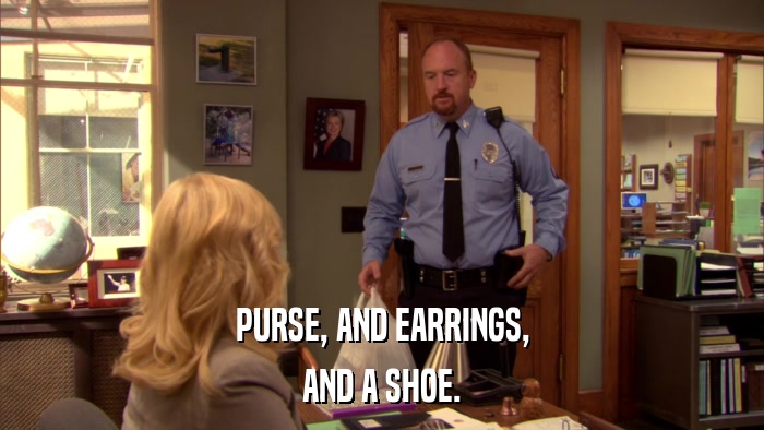 PURSE, AND EARRINGS, AND A SHOE. 