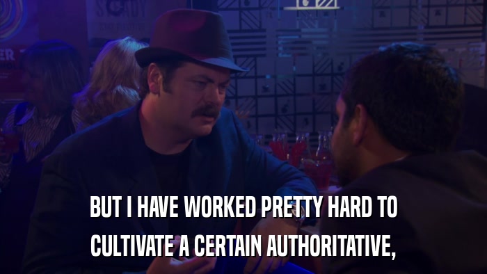 BUT I HAVE WORKED PRETTY HARD TO CULTIVATE A CERTAIN AUTHORITATIVE, 