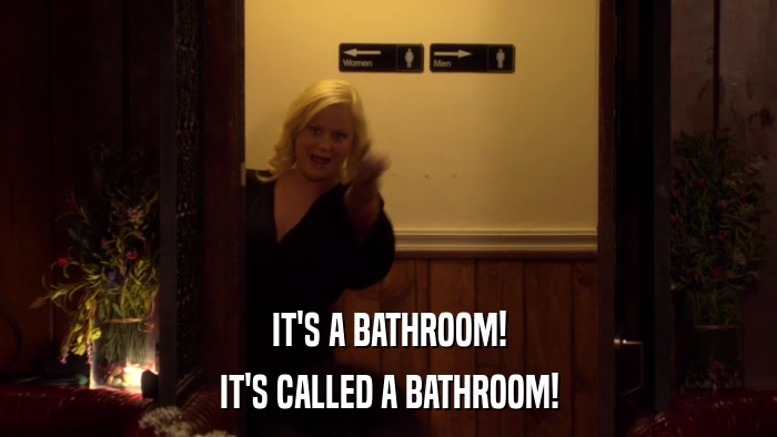IT'S A BATHROOM! IT'S CALLED A BATHROOM! 