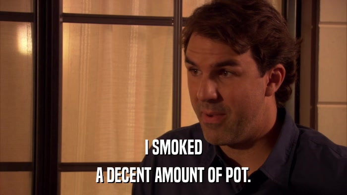 I SMOKED A DECENT AMOUNT OF POT. 