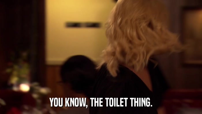 YOU KNOW, THE TOILET THING.  
