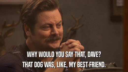 WHY WOULD YOU SAY THAT, DAVE? THAT DOG WAS, LIKE, MY BEST FRIEND. 