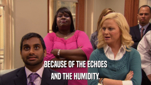 BECAUSE OF THE ECHOES AND THE HUMIDITY. 
