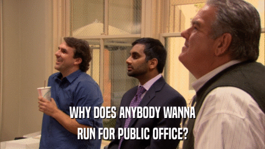 WHY DOES ANYBODY WANNA RUN FOR PUBLIC OFFICE? 