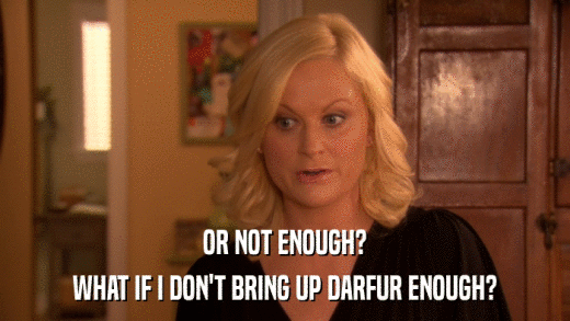 OR NOT ENOUGH? WHAT IF I DON'T BRING UP DARFUR ENOUGH? 