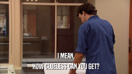 I MEAN, HOW CLUELESS CAN YOU GET? 