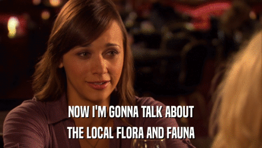 NOW I'M GONNA TALK ABOUT THE LOCAL FLORA AND FAUNA 