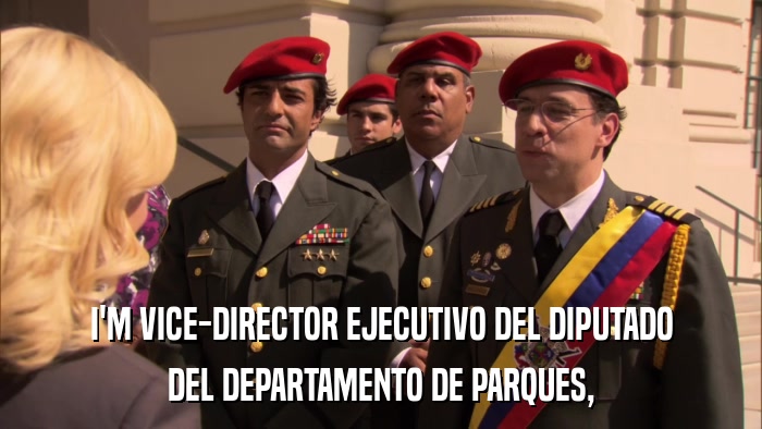 I'M VICE-DIRECTOR EJECUTIVO DEL DIPUTADO DEL DEPARTAMENTO DE PARQUES, 