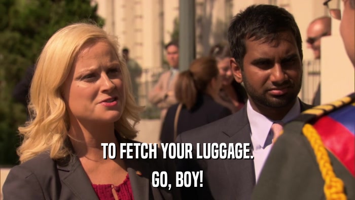 TO FETCH YOUR LUGGAGE. GO, BOY! 
