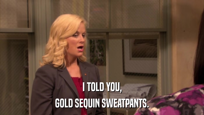 I TOLD YOU, GOLD SEQUIN SWEATPANTS. 