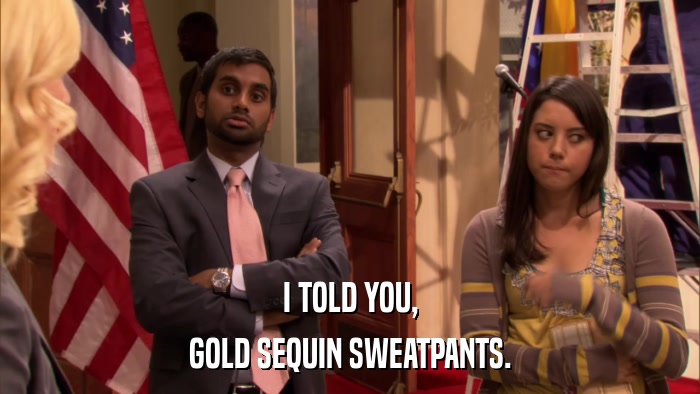 I TOLD YOU, GOLD SEQUIN SWEATPANTS. 